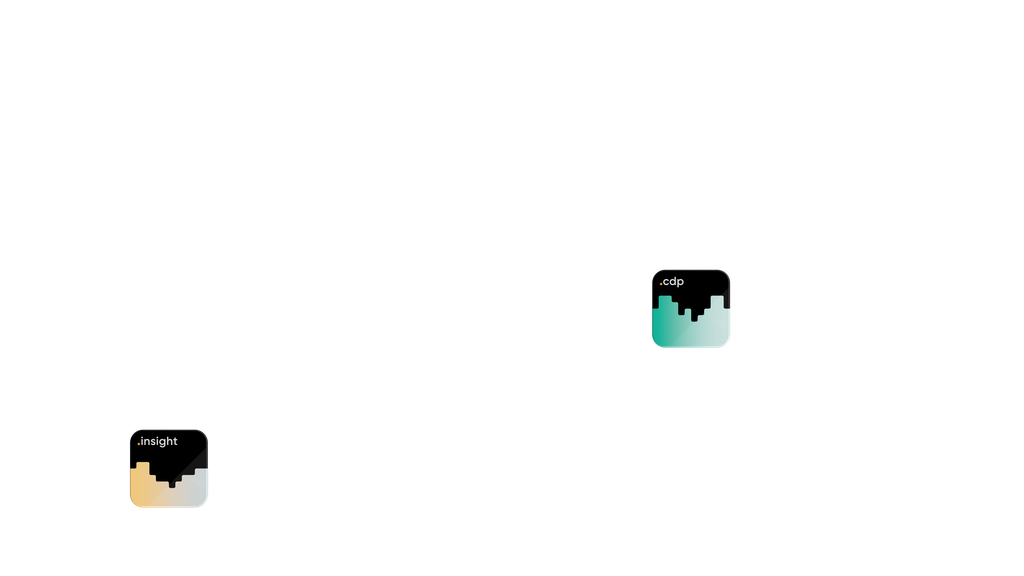 BSI Suite Products insight and cdp